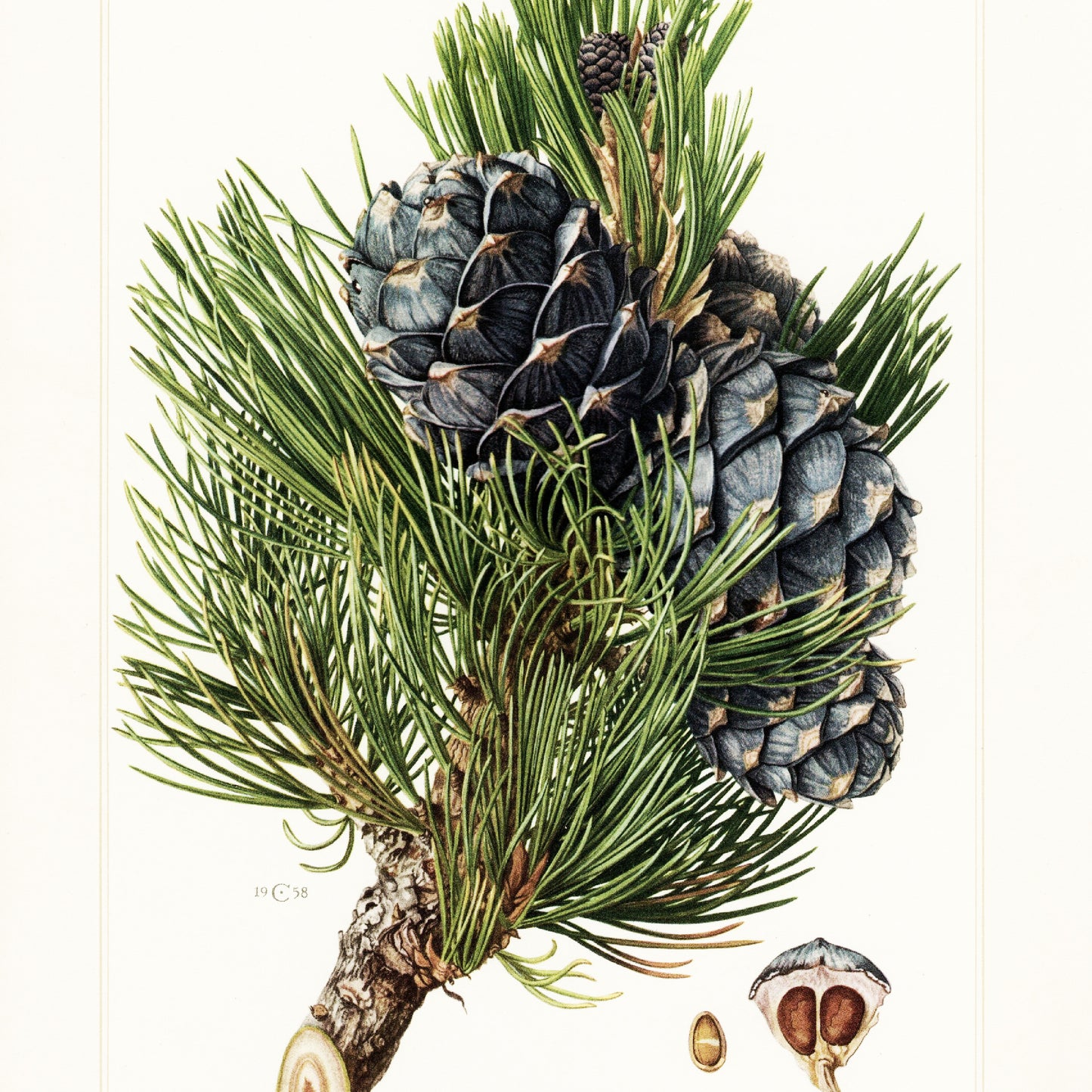 Scented peach wood crafted Auspicious Cloud 925 silver rose gold plated earrings